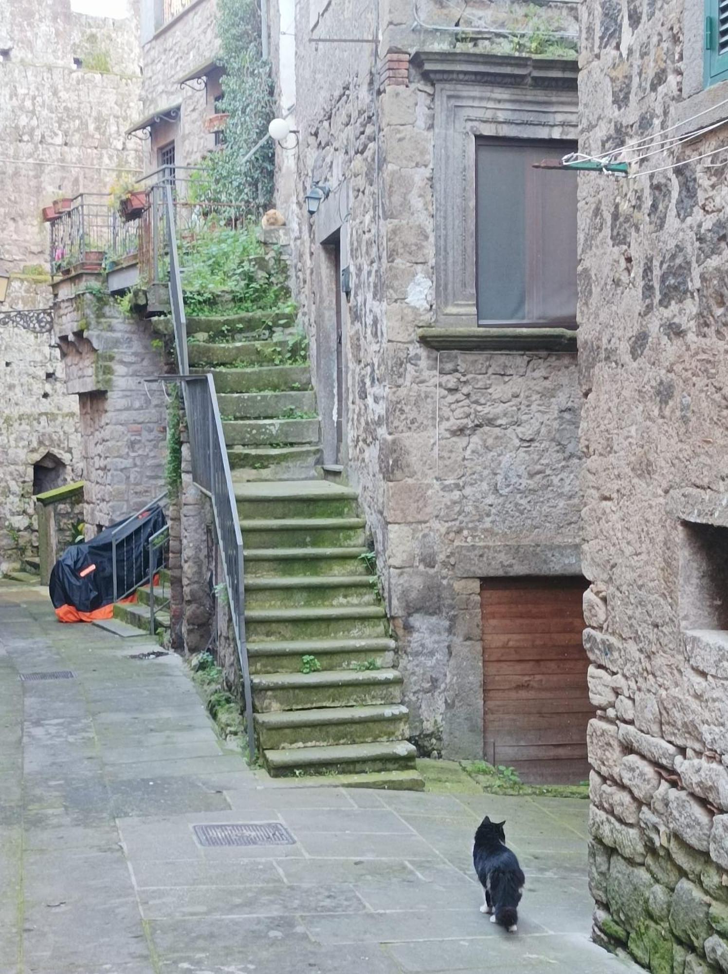 Sospesi Nel Borgo Vitorchiano Bagian luar foto